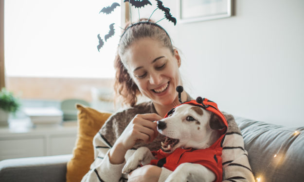 Young woman celebrating Halloween at home with her dog. They are wearing costumes, smiling and enjoy in holiday. Dog wearing costume too