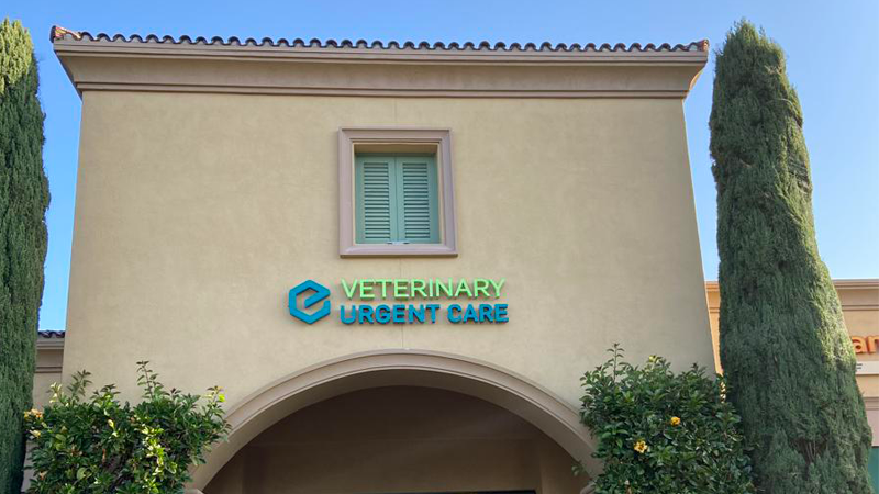 Irvine California Veterinary Urgent Care Clinic by Ethos