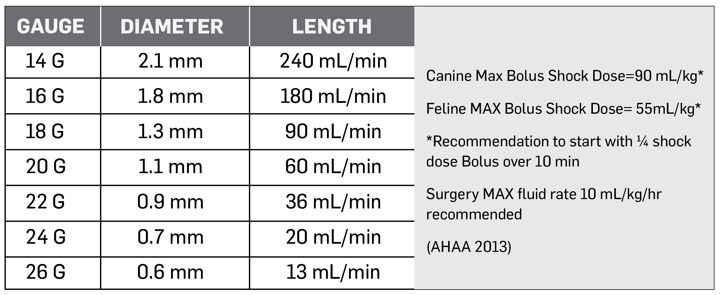 IV Catheter Placement for Pets