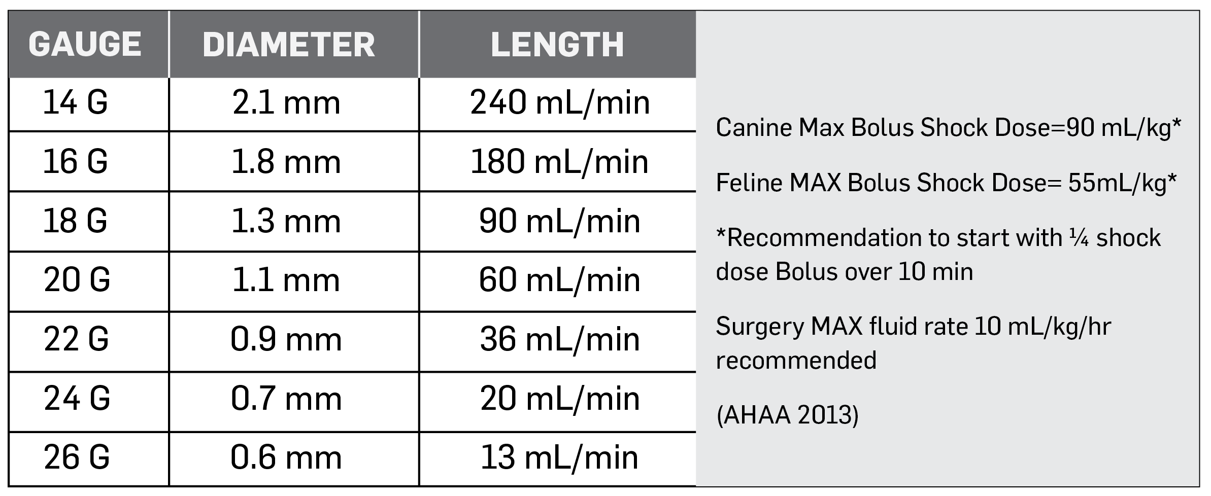 IV Catheter Placement for Pets IV Catheter Placement for Pets