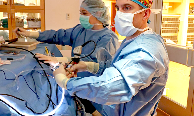 Dr. Ash performs arthoroscopic surgery at Peak Veterinary Referral Center