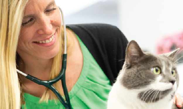 doctor with cat smiling