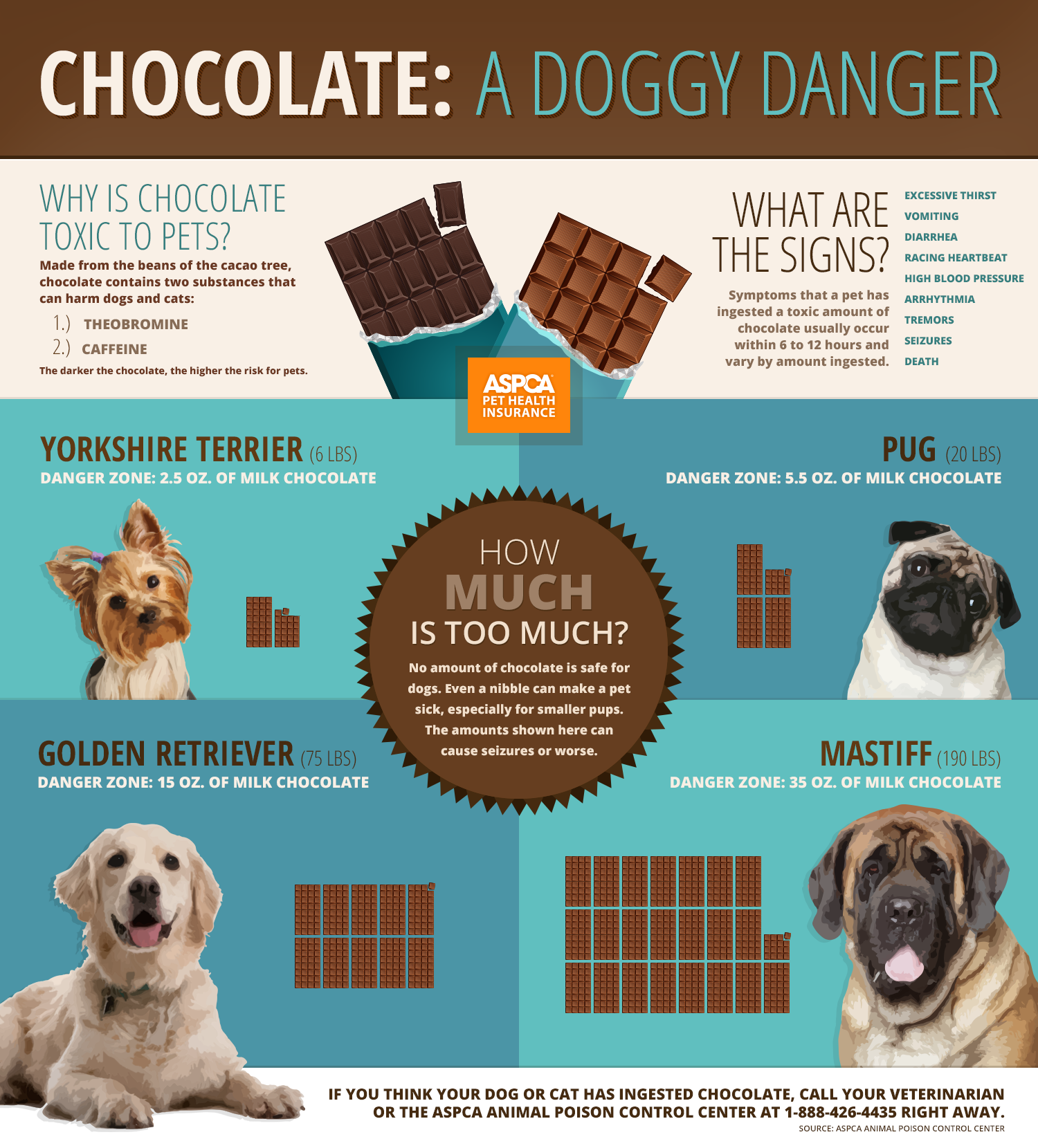 are all chocolate bad for dogs