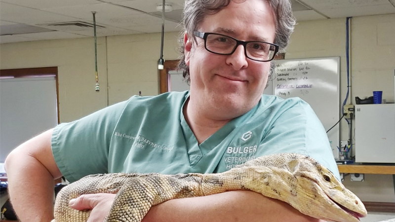 reptile veterinarians