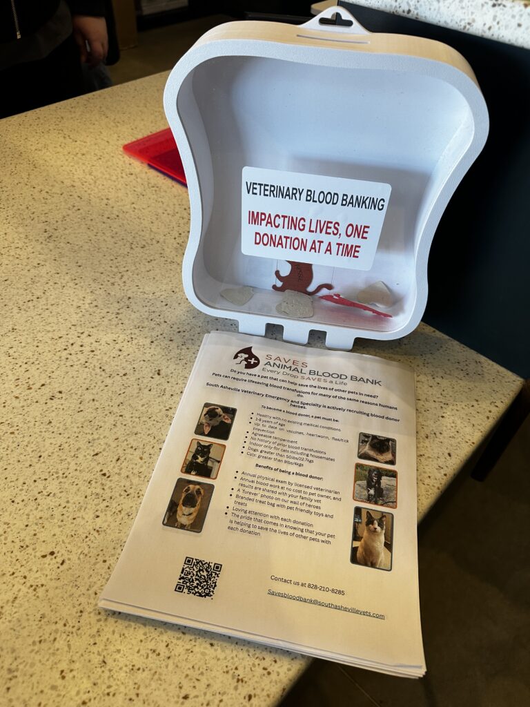 Ranger Rolo Blood Program Inside the SAVES Blood Donor Program - Ethos Veterinary Health