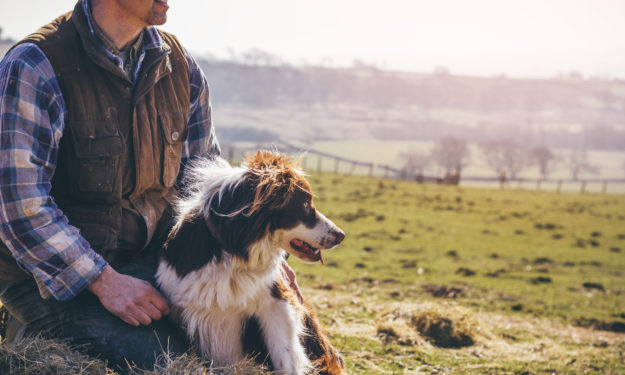 Man and dog sitting on hill looking out