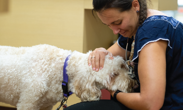 how long can dogs live with mammary cancer