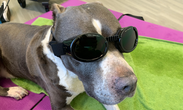 patient wearing doggles receiving treatment with low level laser PT VSH North County, CA