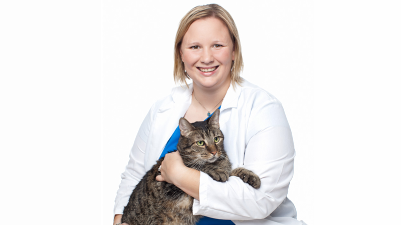 Sarah McMillan DVM, MS, DACVIM (Oncology)
