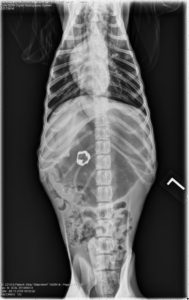 Vertical X-ray with penny